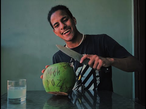 Dzin G - Moh Paz [Official Vizualizer]