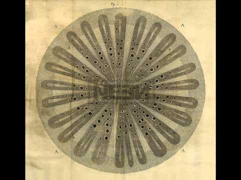 2012--06-24 track 1 by NEEN