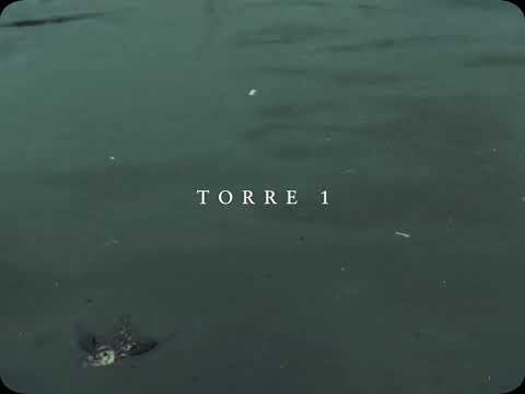 Torre 1
