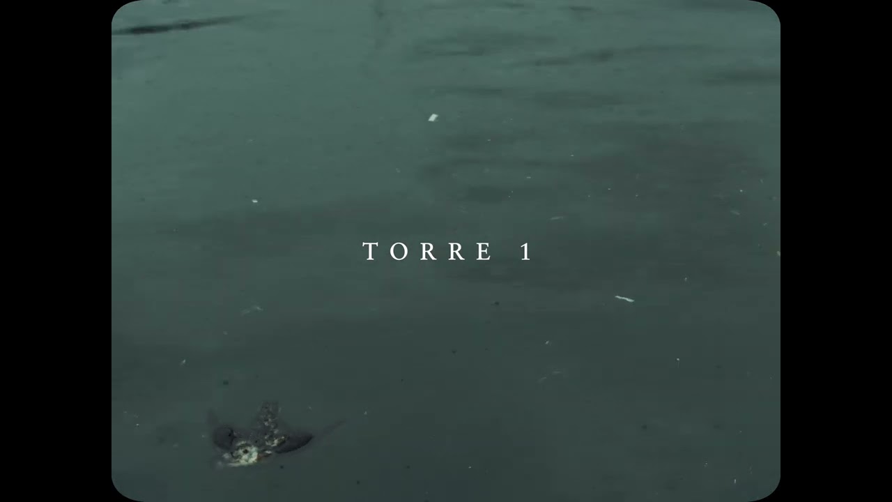 TORRE 1 - Tràiler