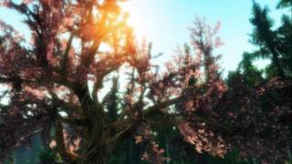 Skyrim Misc2
