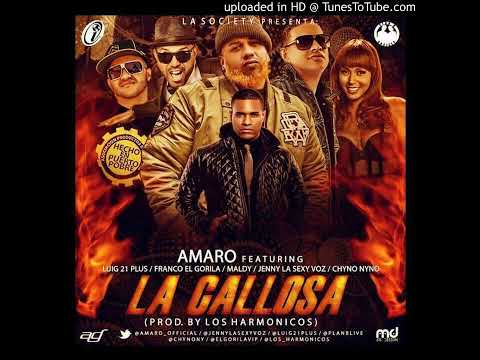 LA CALLOSA AMARO FT. LUI G 21+ PLUS,JENNY "LA SEXY VOZ",MALDY,FRANCO "EL GORILLA" & CHYNO NYNO