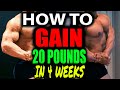 DS DAY 19 | HOW TO GAIN 20 POUNDS OF MUSCLE IN 4 WEEKS?