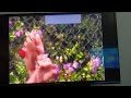 Oobi Uma Swing Ending Oobi You Friends Bye Bye Oobi 2003