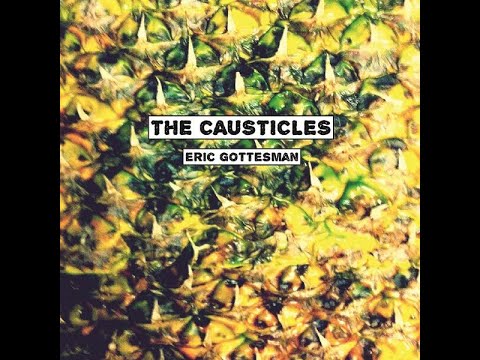 The Causticles - Ruin the Party