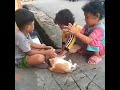 Viral Anak Jatuh Ke Selokan Bikin Ngakak