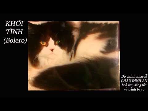 Khói tình - Châu Đình An