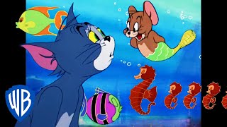 Download lagu Tom & Jerry in italiano 🇮🇹 | Avventure con i pesci 🦈 | WB Kids mp3