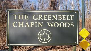 Staten Island- NYC forgotten boro , Reed&#39;s basket willow swamp trail