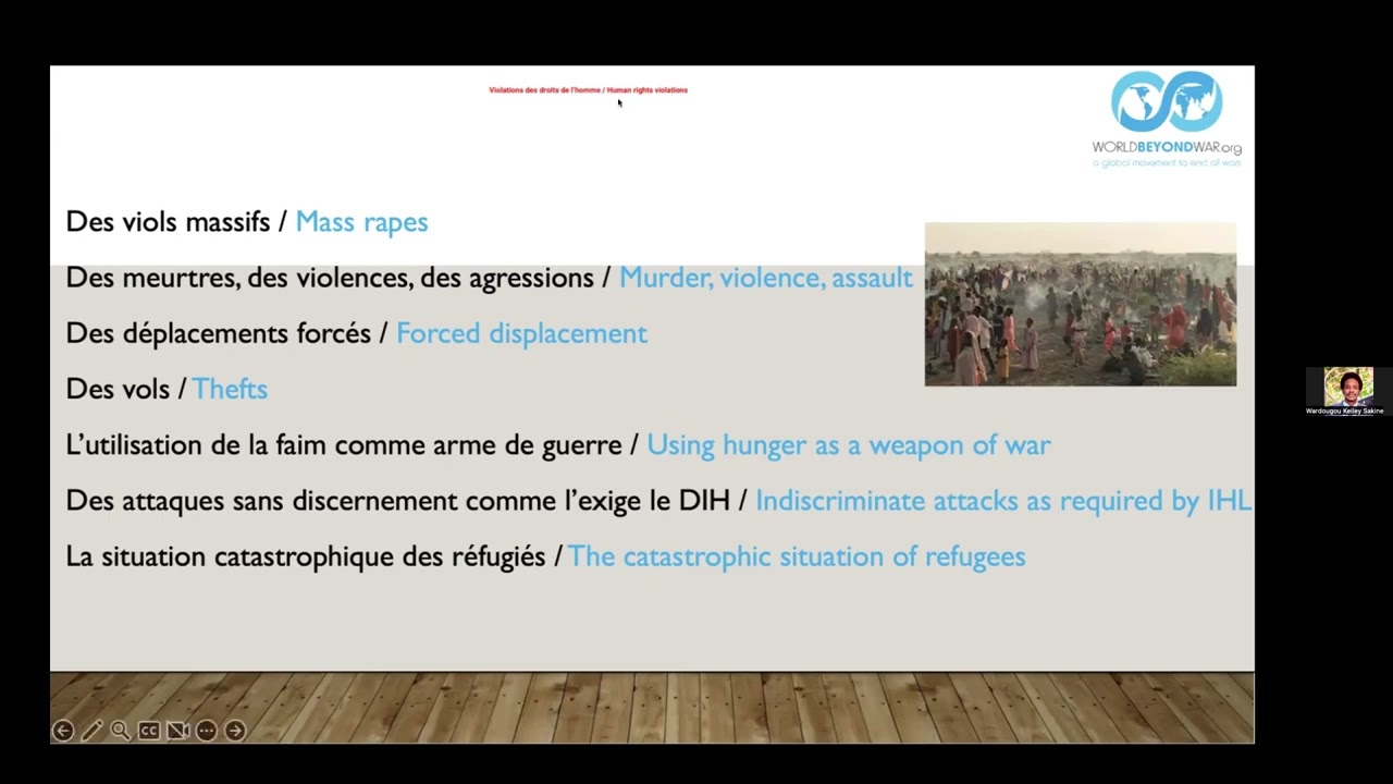 Hands-off- Sudan: Webinar on the war in Sudan
