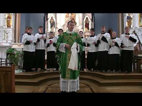 Do You Believe? The Real Presence of Jesus in the Eucharist - Fr. Jonathan Meyer - 8.25.19