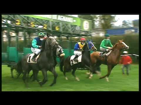 Galoppo 16/11/2020 - 3ª corsa