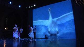 Swan Lake - When this will finish / Quand cela finirà