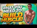 What You Need To Build Muscle! recovery Supplements!