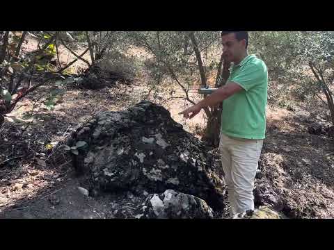 I FOUND A GRAVE AND A SAFE WITH HAKAN DETECTOR/ FIELD SCAN MODEL 15!