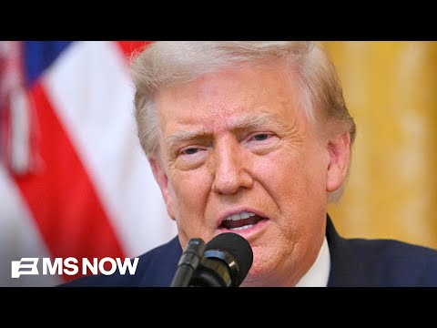 'Brazen corruption' Heather Cox Richardson HUMILIATES Trump but sees a 