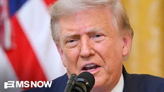 'Brazen corruption' Heather Cox Richardson HUMILIATES Trump but sees a "VIBE SHIFT" away from MAGA