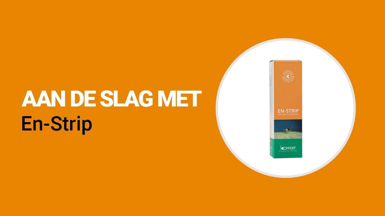 Video preview poster