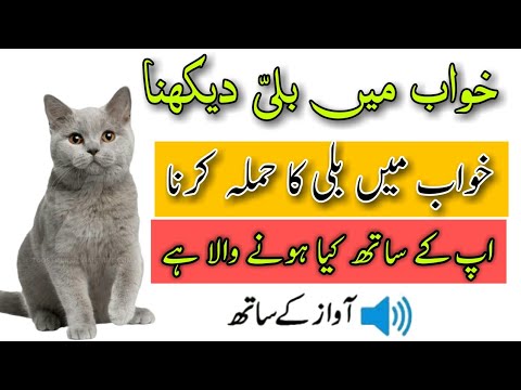 khwab mein billi dekhna || Cat Dream Meaning || khwab mein billi ka hamla karna
