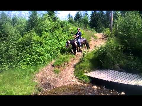 Tordensky: Creek crossing