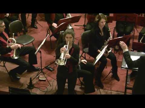 Federatie Orkestenfestival Menameradiel 2014