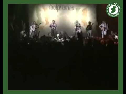 The Boys of the Old Brigade - The Wolfe Tones