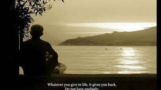 In the Hour of not Quite Rain - Buffalo Springfieid