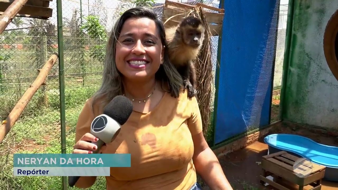 CETAS É UMA UNIDADE RESPONSÁVEL PELO RECEBIMENTO, TRATAMENTO E REABILITAÇÃO DE ANIMAIS