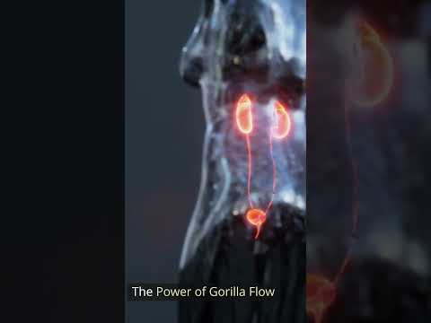 Gorilla Flow Prostate Supplement #ytshorts #supplement #foryou  #enlargedprostate #prostatedisease