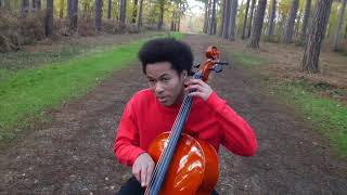 The making of  Evening of Roses