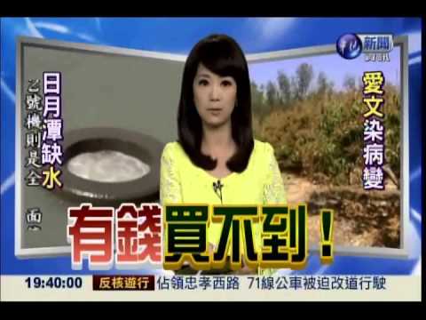 寒害又染病 今年愛文恐少8成