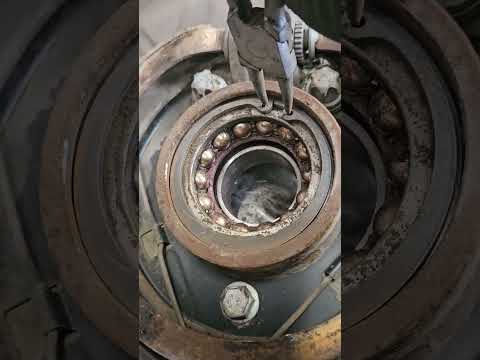 Wheel bearing replace 685 all day every day 🇼🇸🇼🇸🇼🇸👍😎