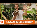 Is dit de oudste diersoort? | DierenpraatTV