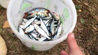 Ссылка