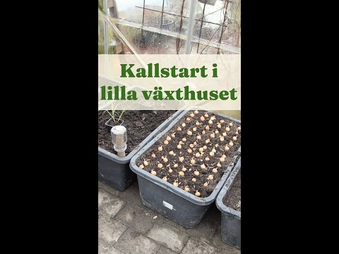 Kallstart i lilla växthuset - Trädgårdshacks med GardenR
