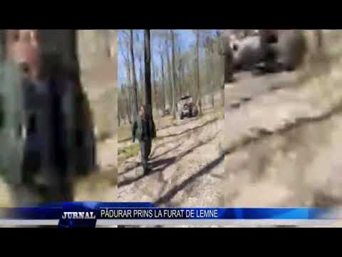 PĂDURAR PRINS LA FURAT DE LEMNE