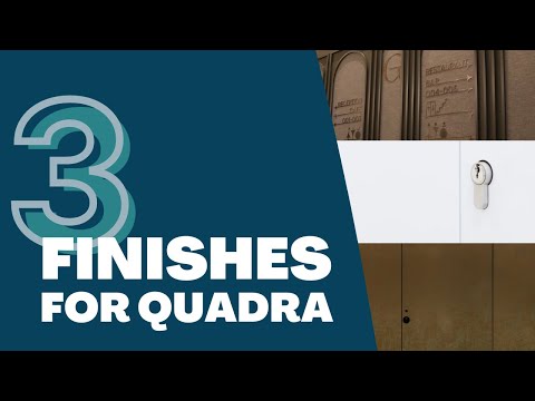 Thumbnail of video for: What finishes can I have on a Quadra+ riser door?