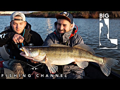 Der Praktikant streikt! Angeln wir auf Zander oder Barsch?!