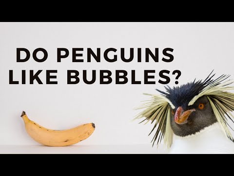 Knitter Natter | Good For A Change Podcast