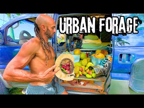 Urban Adventure: Wild Bushman Finds FOOD!
