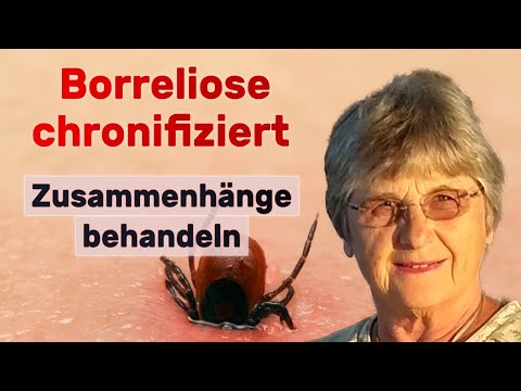 Borreliose: Koinfektionen und Cofaktoren testen und behandeln. Dr. Petra Hopf-Seidel