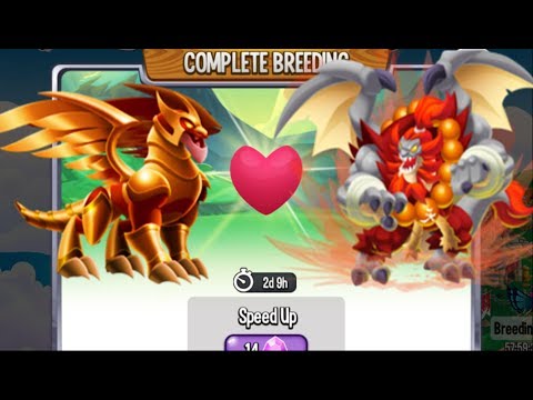 Royal Phoenix Dragon vs High Amuka Dragon [Exclusive Breeding Dragon]