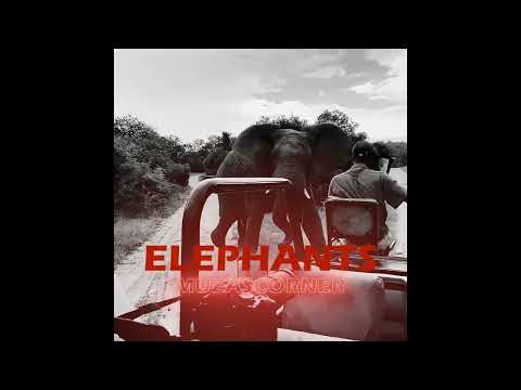 Muzascorner - Elephants (Prod. ELwildin & Muzascorner)