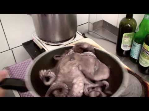 Paul die Schlampe - DIE FRAKTION