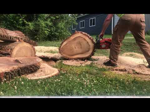 Husqvarna 565 Ported running 32” full comp chain 7pin rim