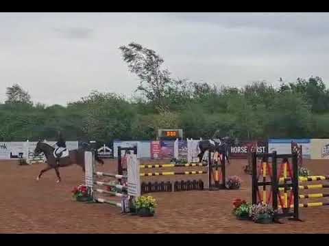 Horse - Image 2