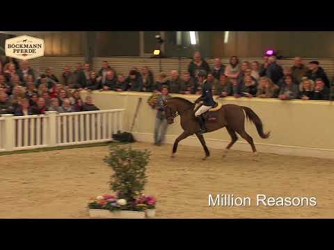 Million Reasons - Hengstvorführung 2019