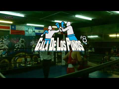 Gala de los Puños #8