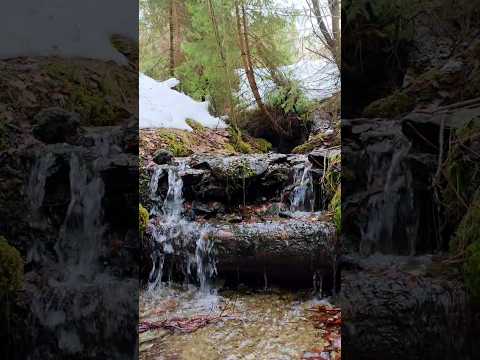 A little mountain therapy!