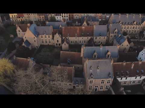 The beauty of Leuven (Preview)